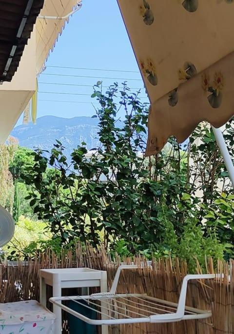 Apartment δίπλα στο πάρκο