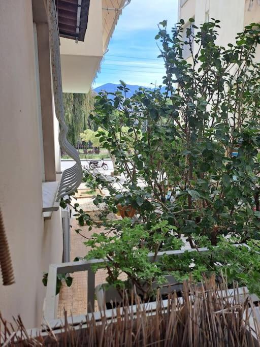 δίπλα στο πάρκο *